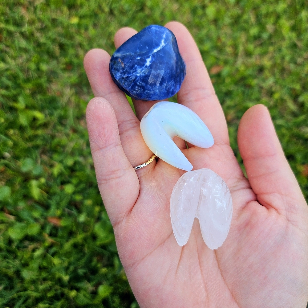3 mini open clam shell 1.2 in each - Picture 2 of 6